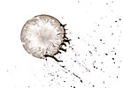Ink & Soap Drawing